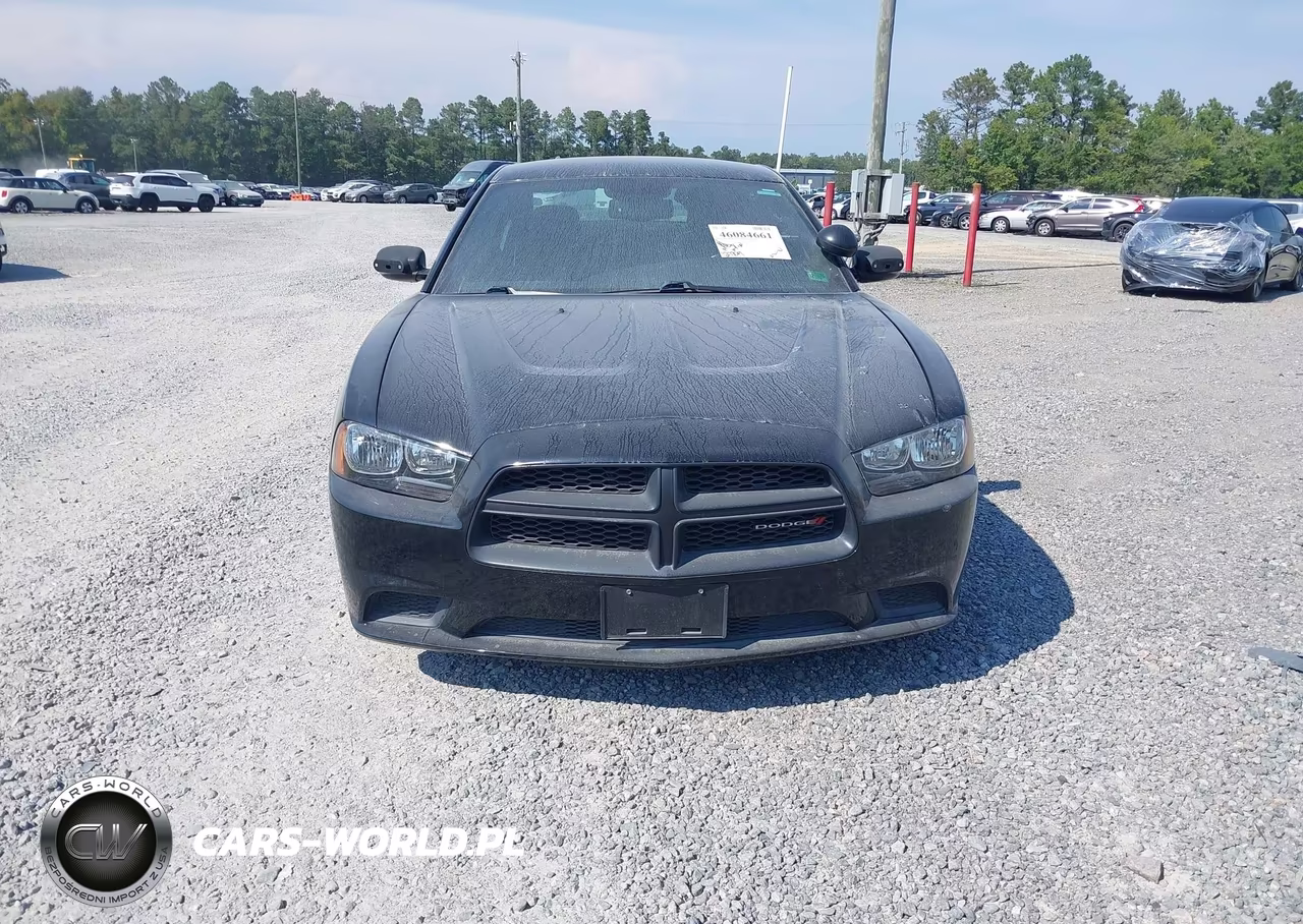2014 Dodge Charger Police VIN:2C3CDXAT1EH125812 - 12