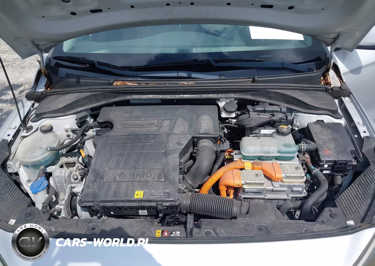 2019 Hyundai Ioniq Hybrid Blue VIN:KMHC65LC5KU107843 - 10