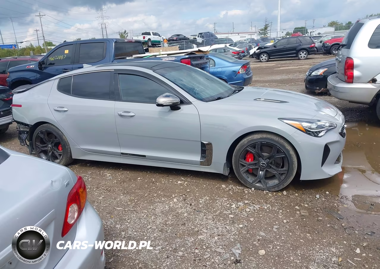 2019 Kia Stinger Gt2 VIN:KNAE55LC9K6063296 - 13