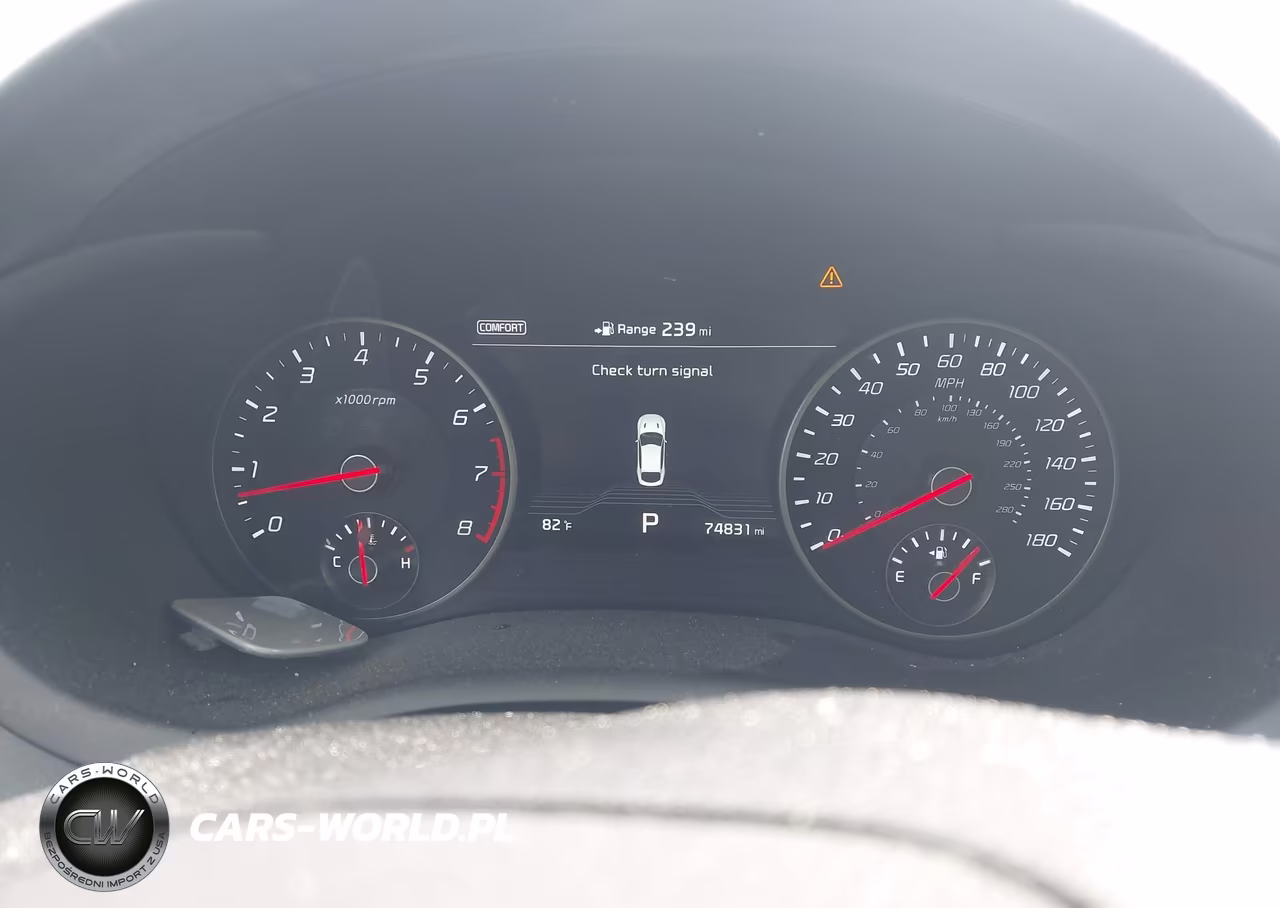2019 Kia Stinger Gt2 VIN:KNAE55LC9K6063296 - 7