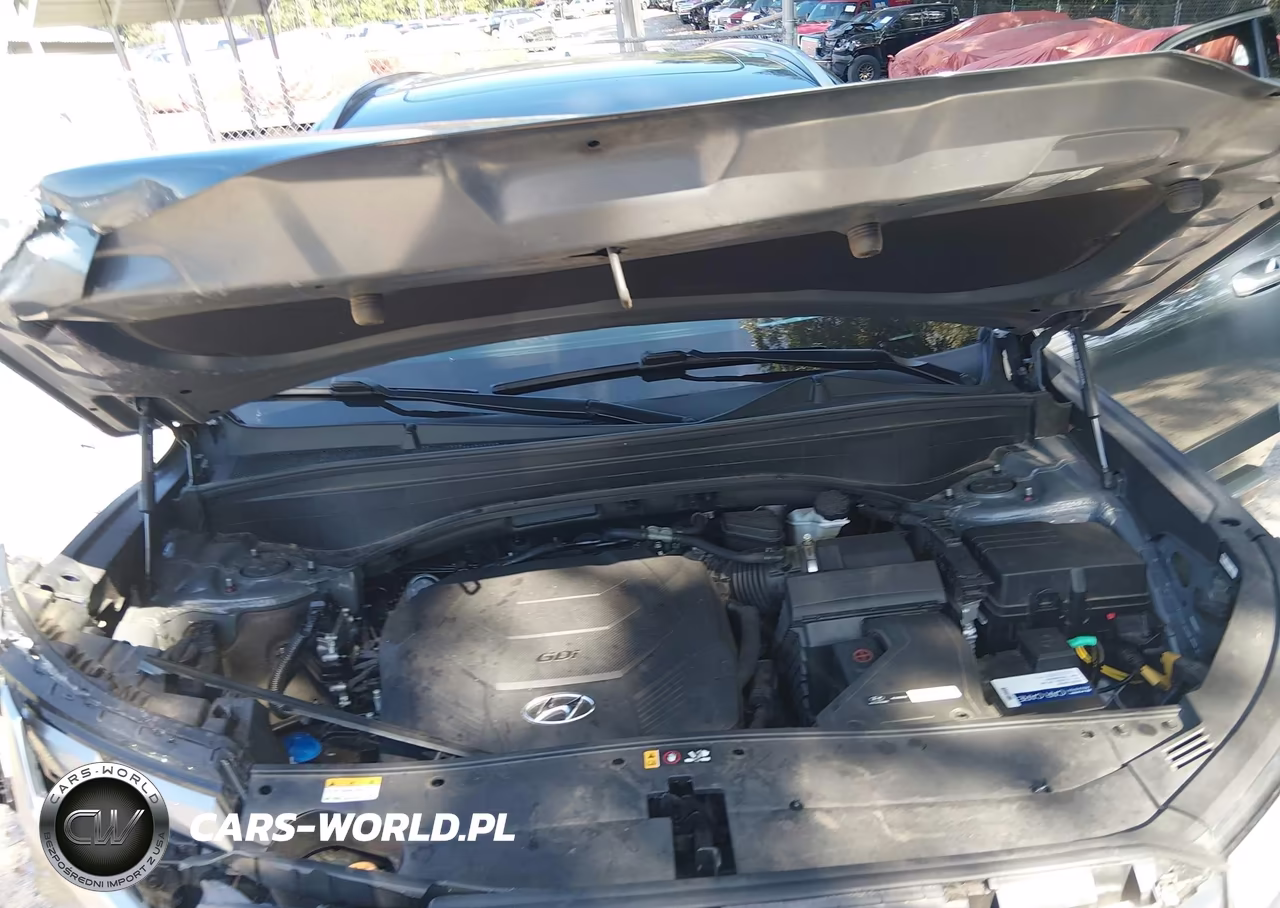 2023 Hyundai Palisade Calligraphy VIN:KM8R74GE0PU631602 - 10