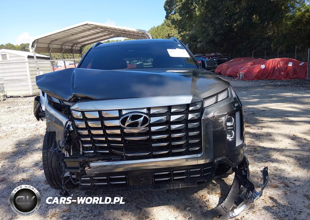 2023 Hyundai Palisade Calligraphy VIN:KM8R74GE0PU631602 - 12