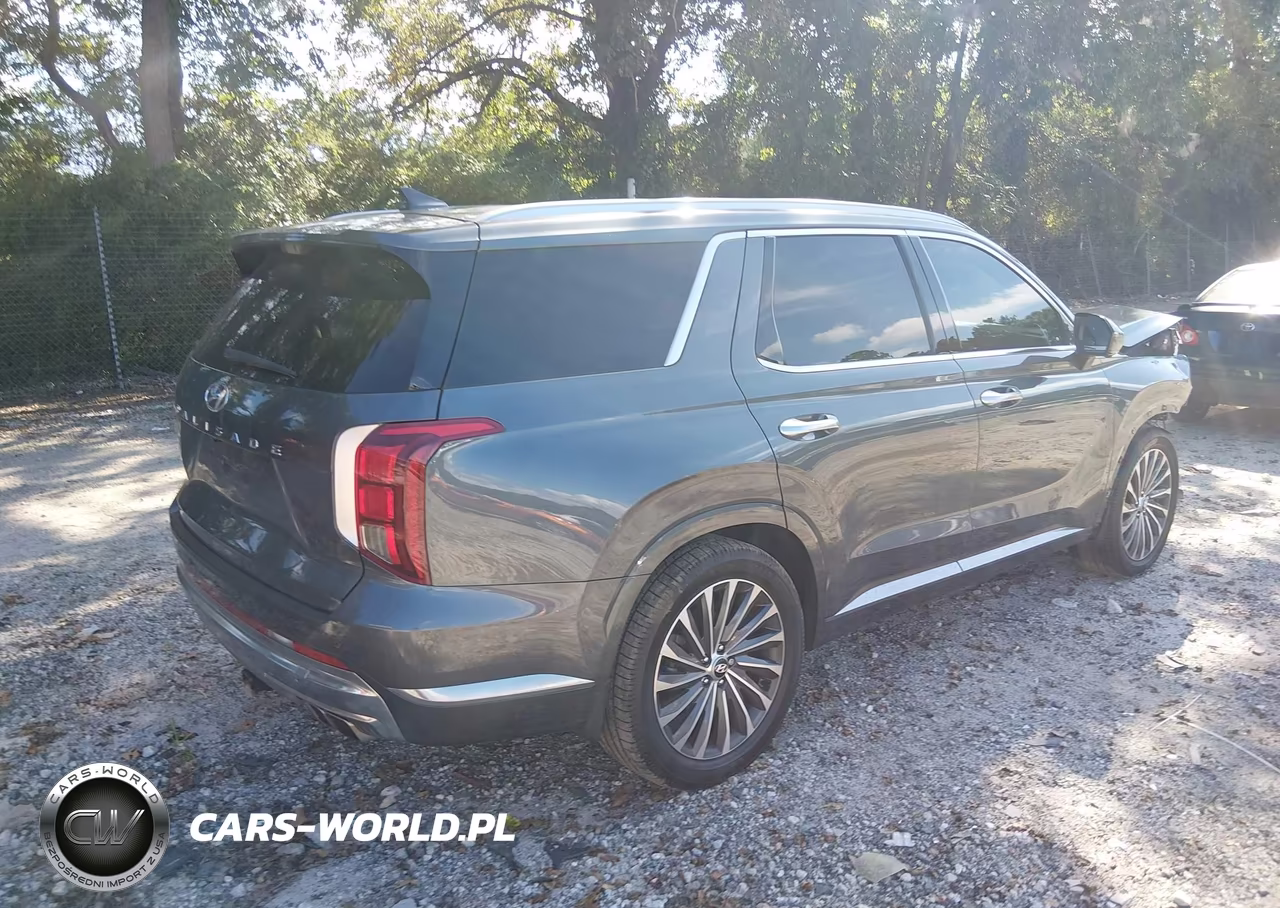 2023 Hyundai Palisade Calligraphy VIN:KM8R74GE0PU631602 - 4