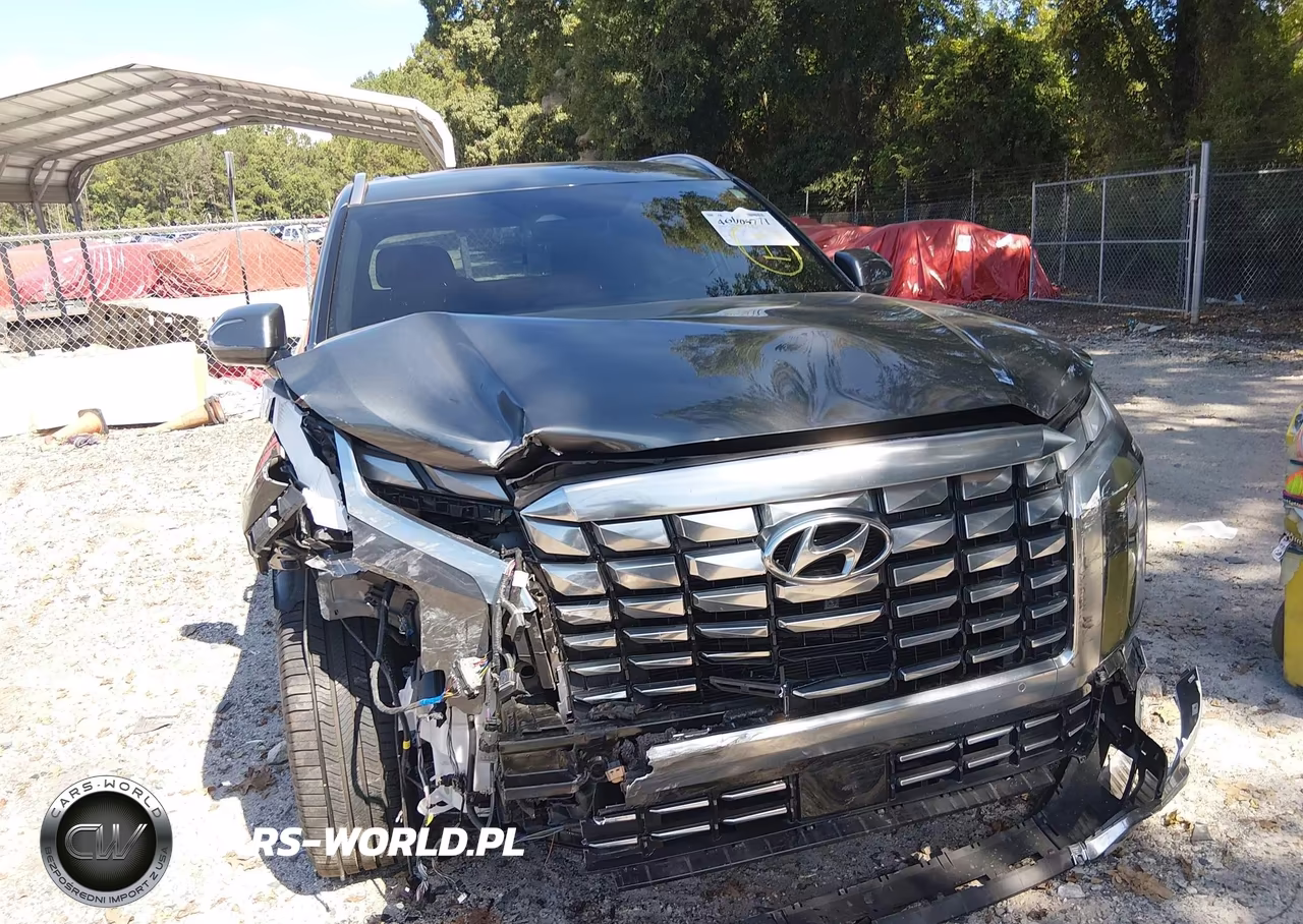 2023 Hyundai Palisade Calligraphy VIN:KM8R74GE0PU631602 - 6