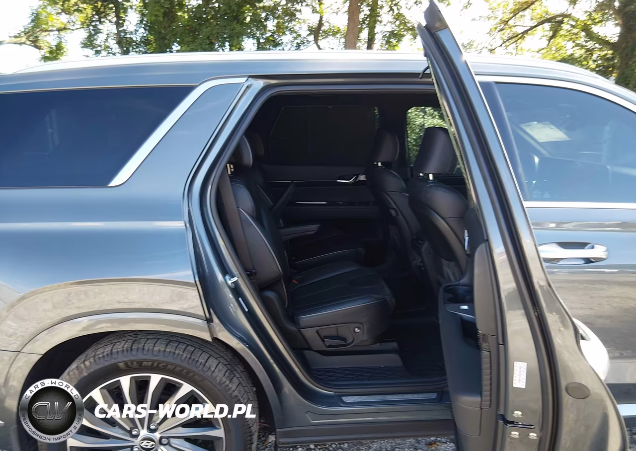 2023 Hyundai Palisade Calligraphy VIN:KM8R74GE0PU631602 - 8