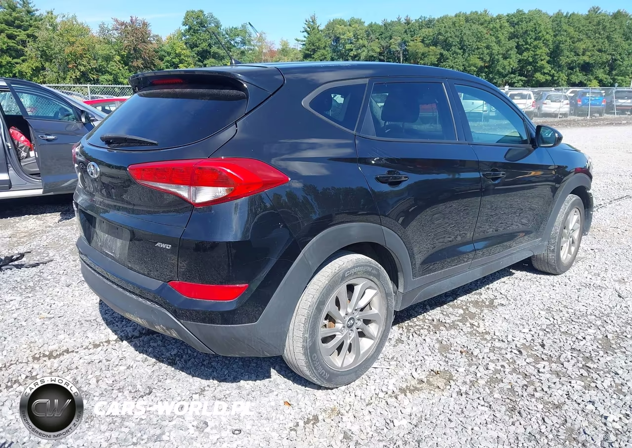 2018 Hyundai Tucson Se VIN:KM8J2CA49JU700901 - 4