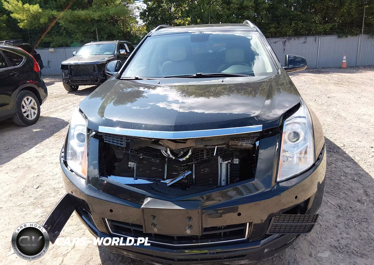 2012 Cadillac Srx Luxury Collection VIN:3GYFNDE36CS510298 - 12