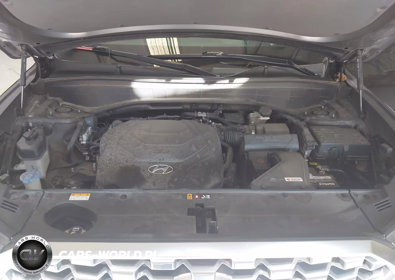 2021 Hyundai Palisade Limited VIN:KM8R5DHE4MU175605 - 10
