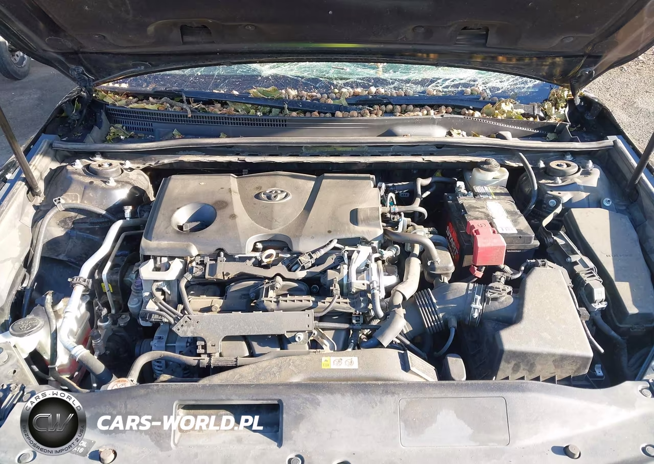 2018 Toyota Camry Se VIN:4T1B11HK7JU036078 - 10