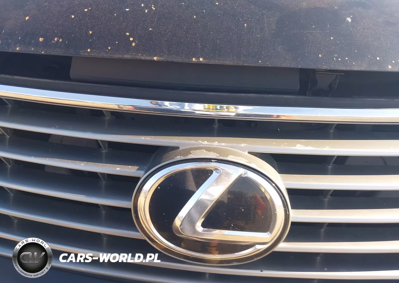 2013 Lexus Rx 350 VIN:2T2BK1BA2DC168132 - 10