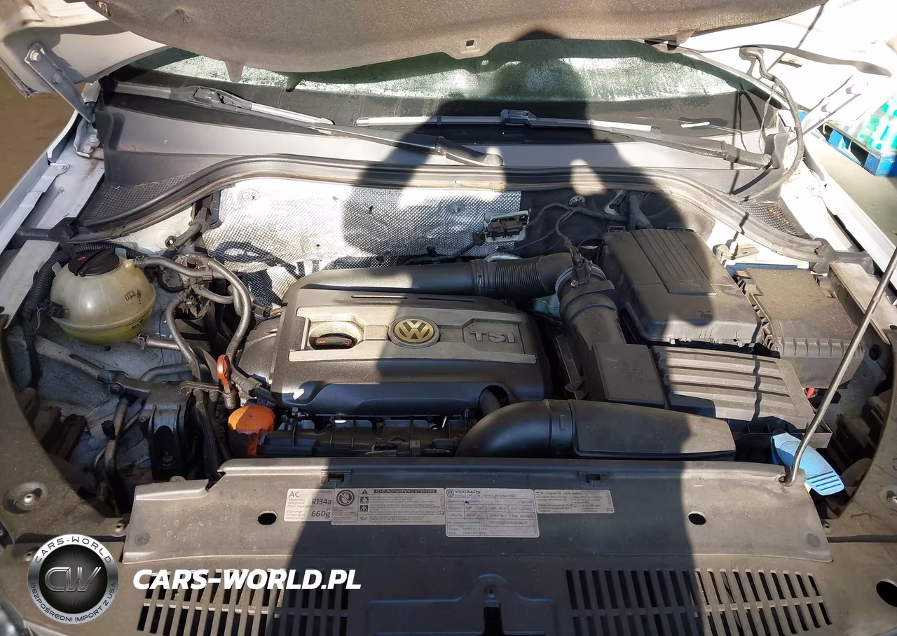2013 Volkswagen Tiguan Se VIN:WVGAV7AX2DW523013 - 10