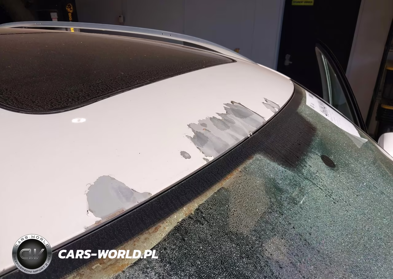 2013 Volkswagen Tiguan Se VIN:WVGAV7AX2DW523013 - 6