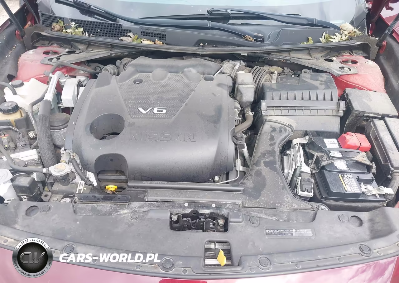 2019 Nissan Maxima 3.5 Sl VIN:1N4AA6AV7KC362199 - 10