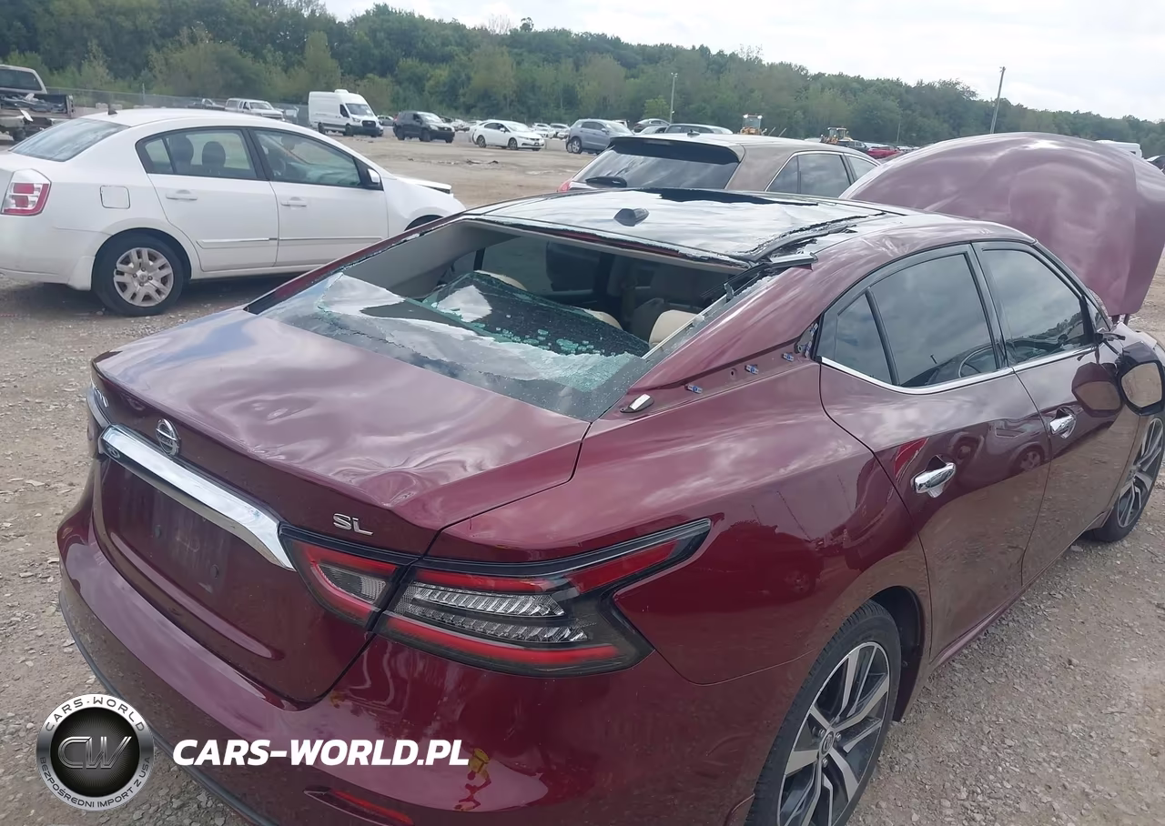 2019 Nissan Maxima 3.5 Sl VIN:1N4AA6AV7KC362199 - 6