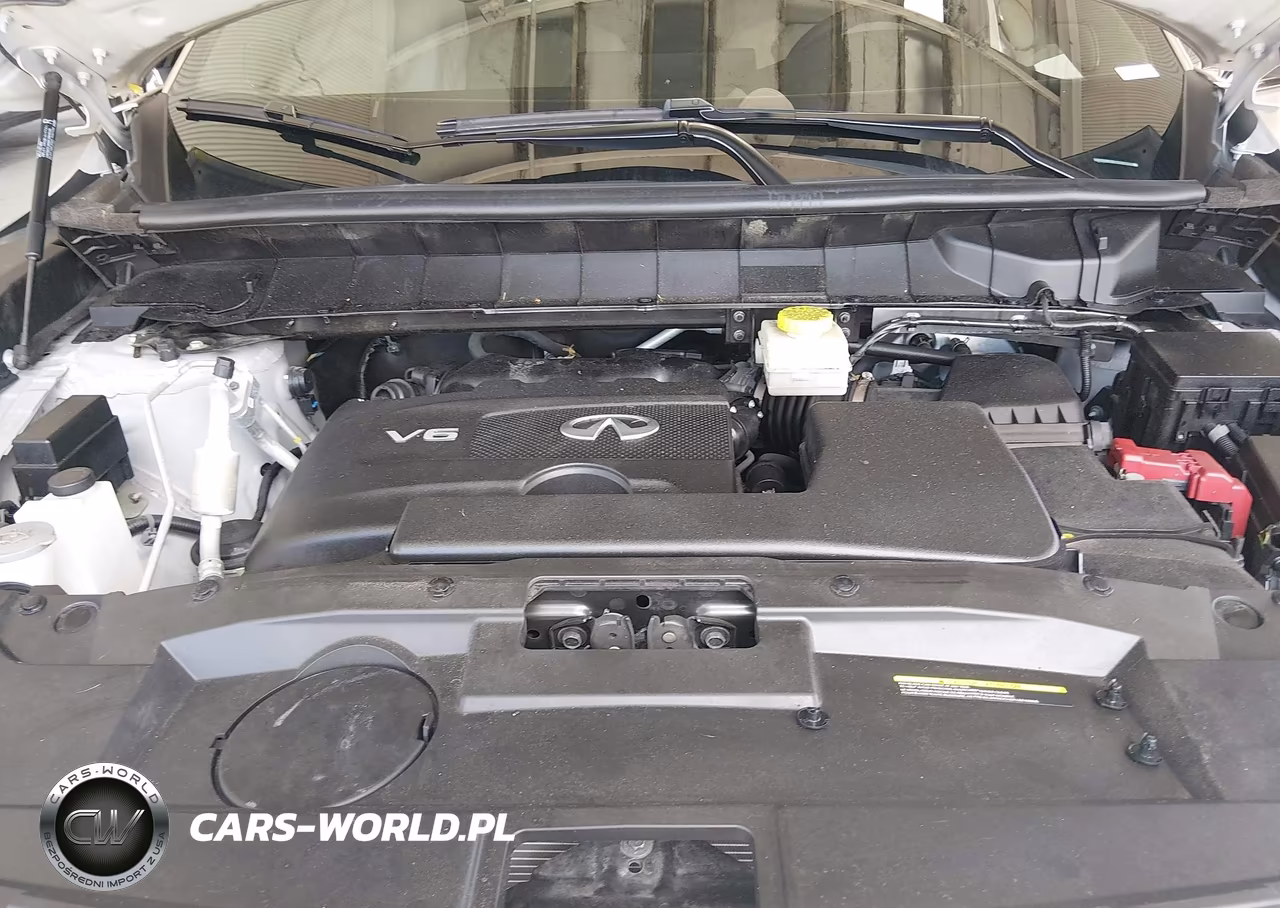 2023 Infiniti Qx60 Luxe VIN:5N1DL1FRXPC360949 - 10