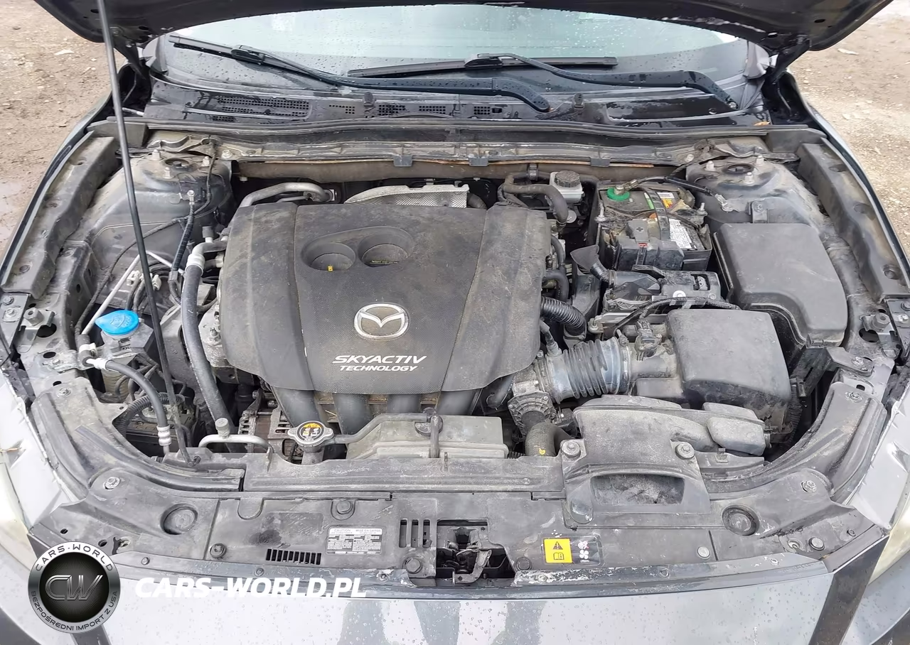 2016 Mazda Mazda3 S Touring VIN:JM1BM1W33G1301385 - 10