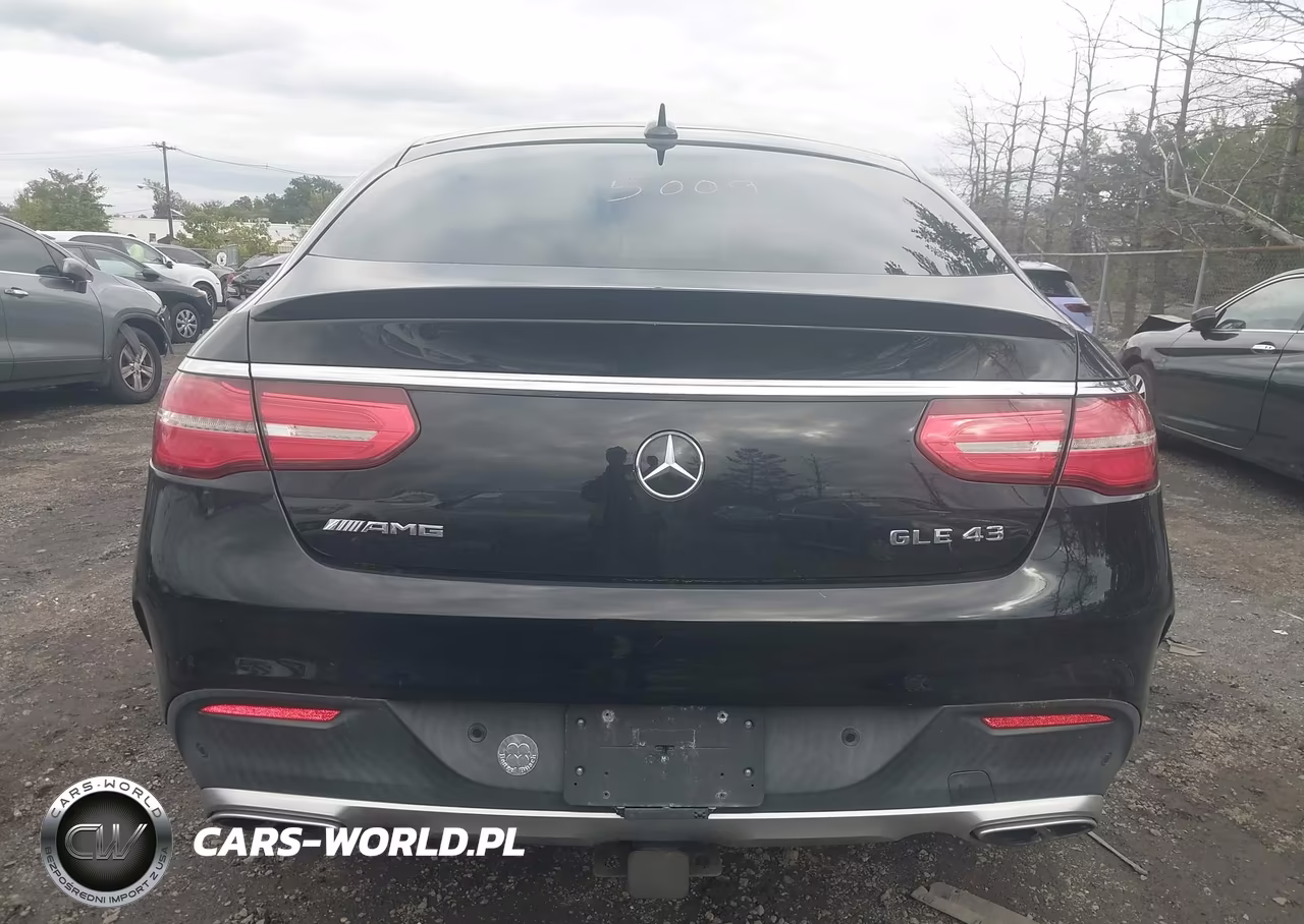 2017 Mercedes-Benz Amg Gle 43 Coupe 4Matic VIN:4JGED6EBXHA080173 - 17
