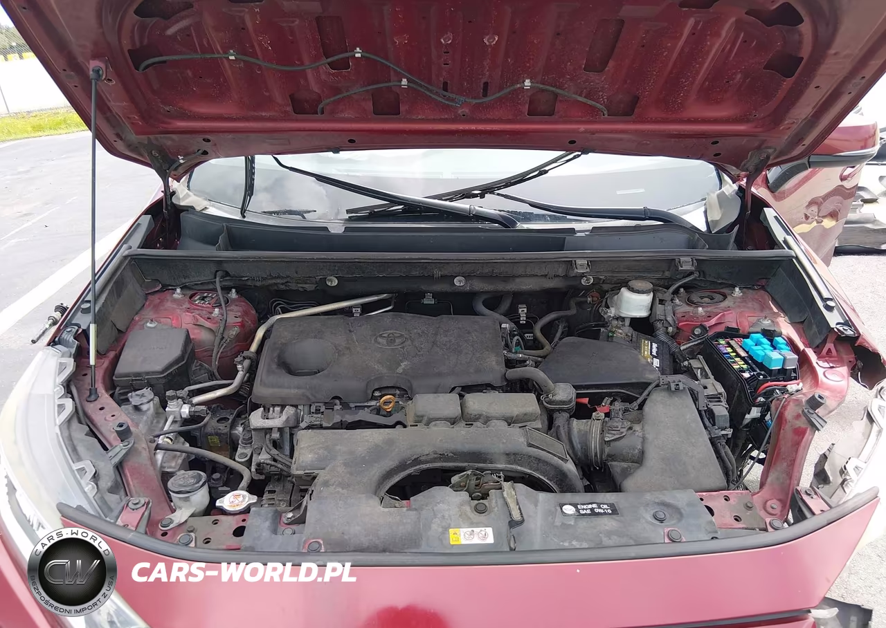 2019 Toyota Rav4 Xle VIN:2T3W1RFV6KW011940 - 10