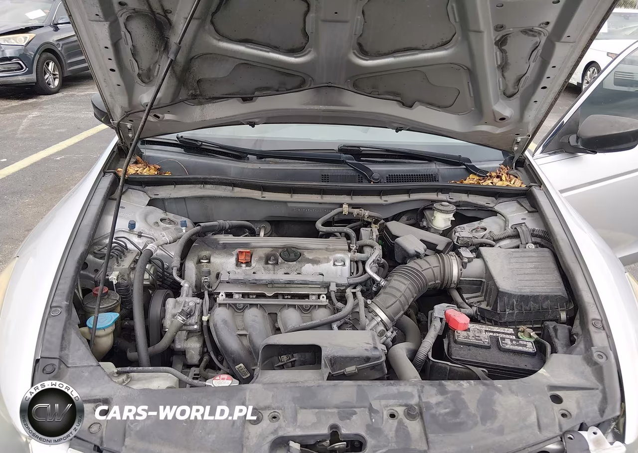 2010 Honda Accord 2.4 Lx-P VIN:1HGCP2F45AA079029 - 10