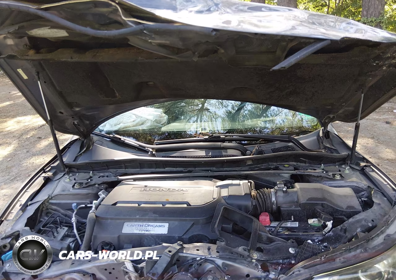 2014 Honda Accord Ex-L V-6 VIN:1HGCR3F85EA038537 - 10
