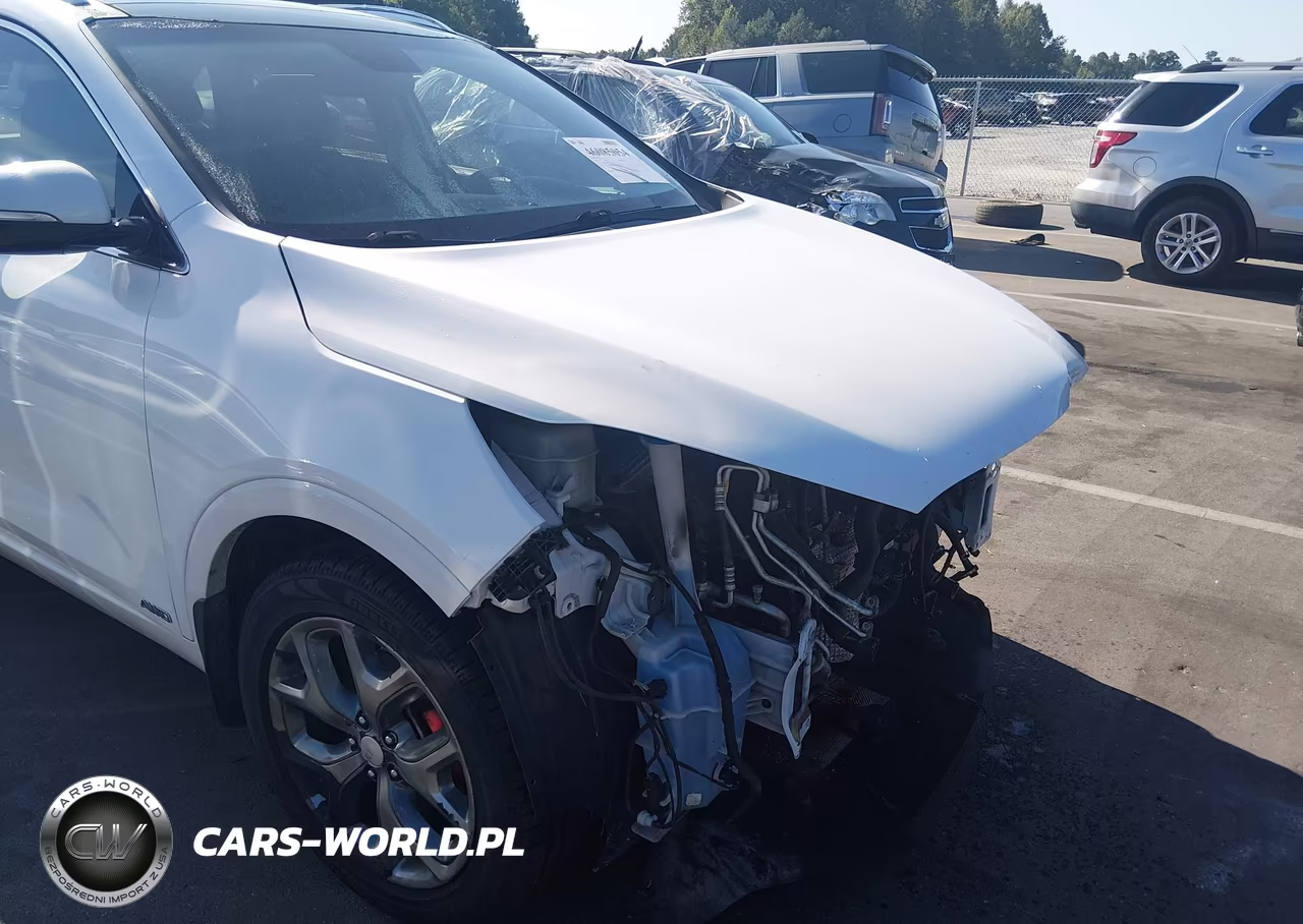 2016 Kia Sorento 3.3L Sx VIN:5XYPKDA51GG008218 - 18