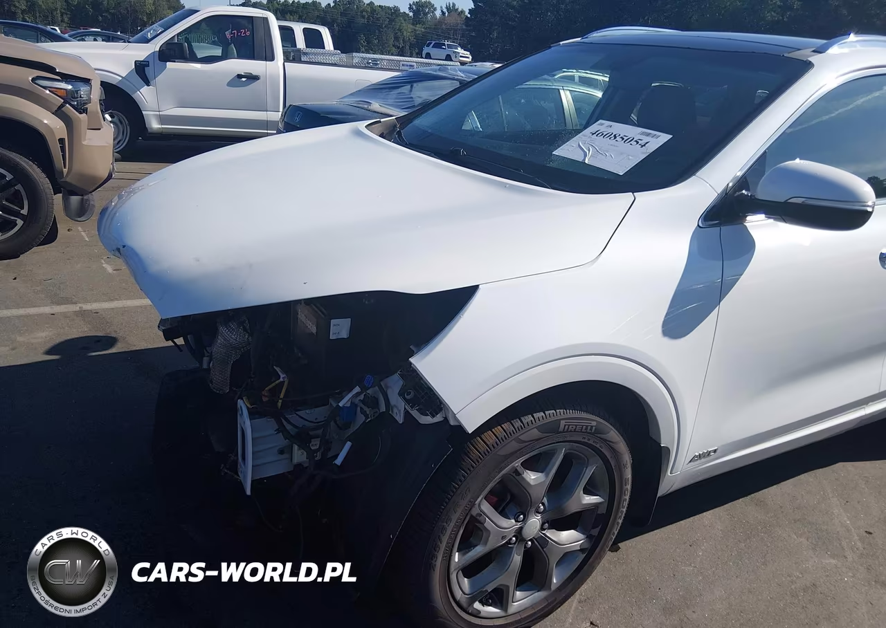 2016 Kia Sorento 3.3L Sx VIN:5XYPKDA51GG008218 - 19