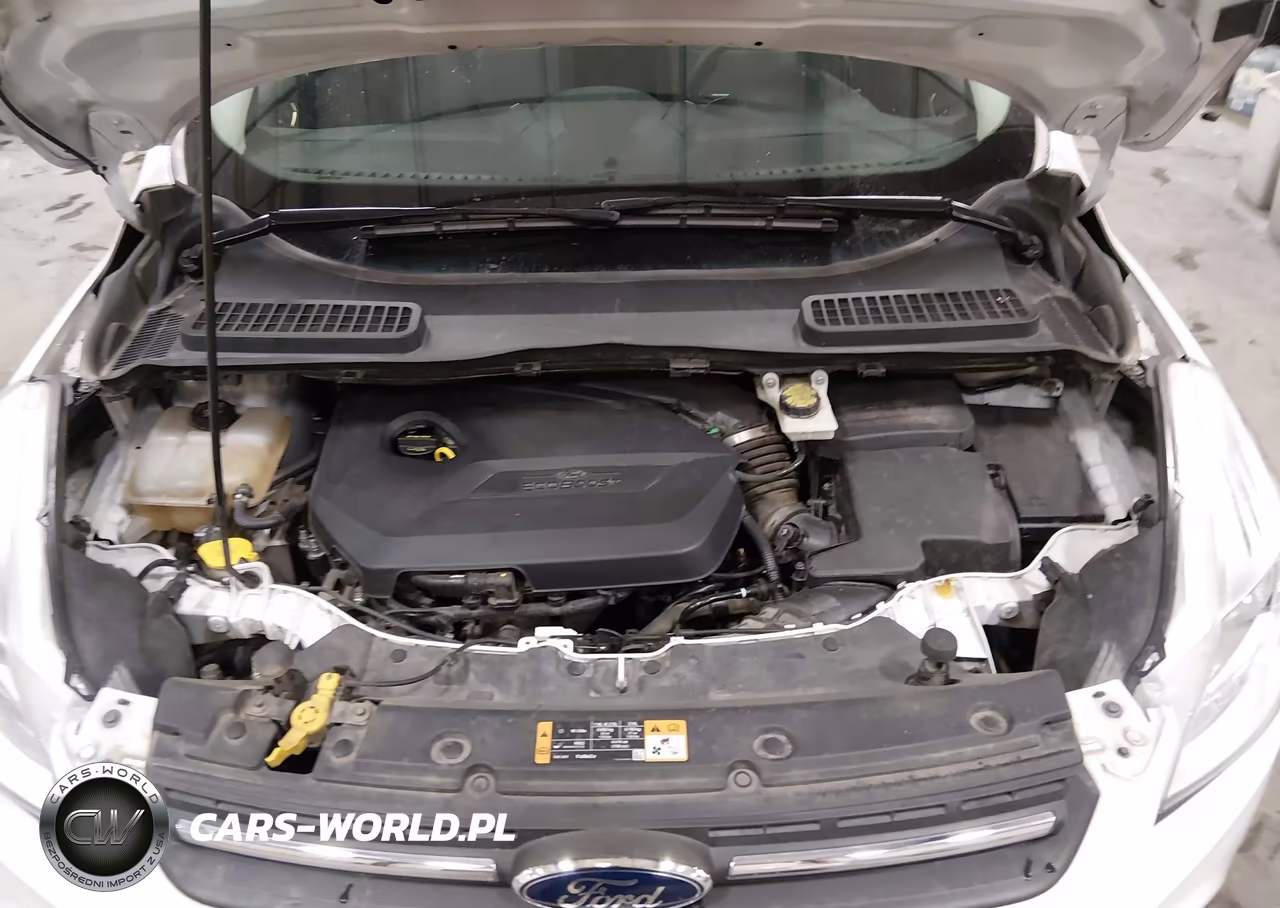 2014 Ford Escape Se VIN:1FMCU9GX4EUD72901 - 10