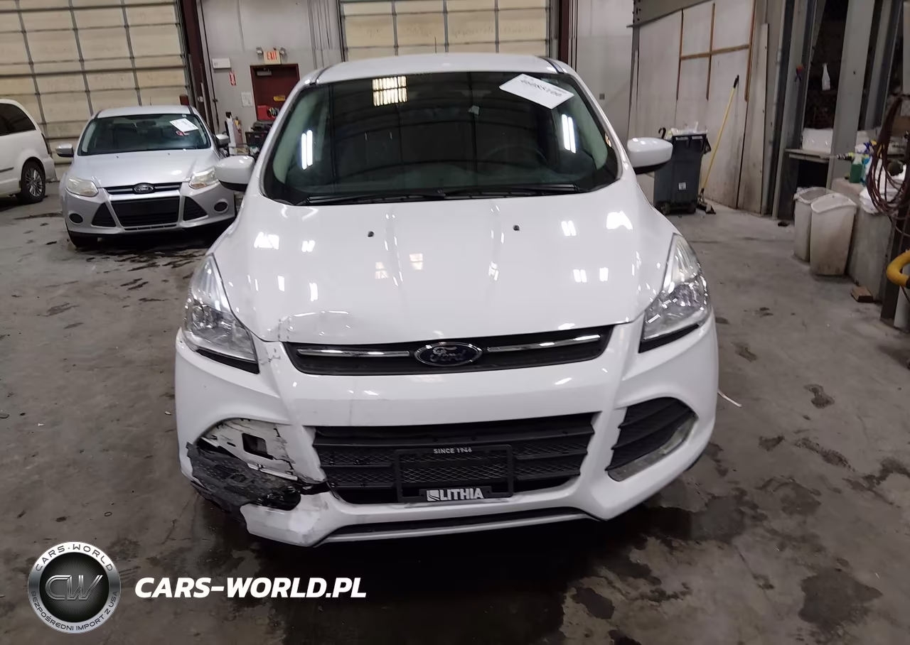 2014 Ford Escape Se VIN:1FMCU9GX4EUD72901 - 12