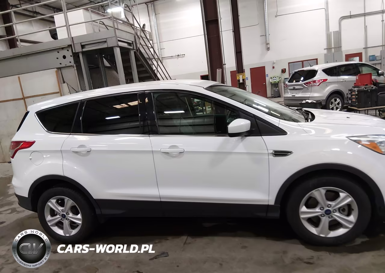 2014 Ford Escape Se VIN:1FMCU9GX4EUD72901 - 13