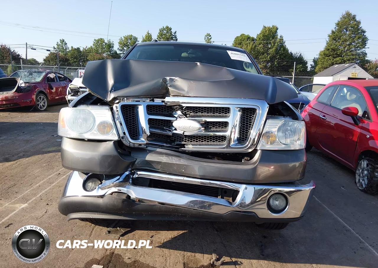 2008 Ford F-150 Fx2-Stx-Xl-Xlt VIN:1FTRX12W08FB64898 - 12