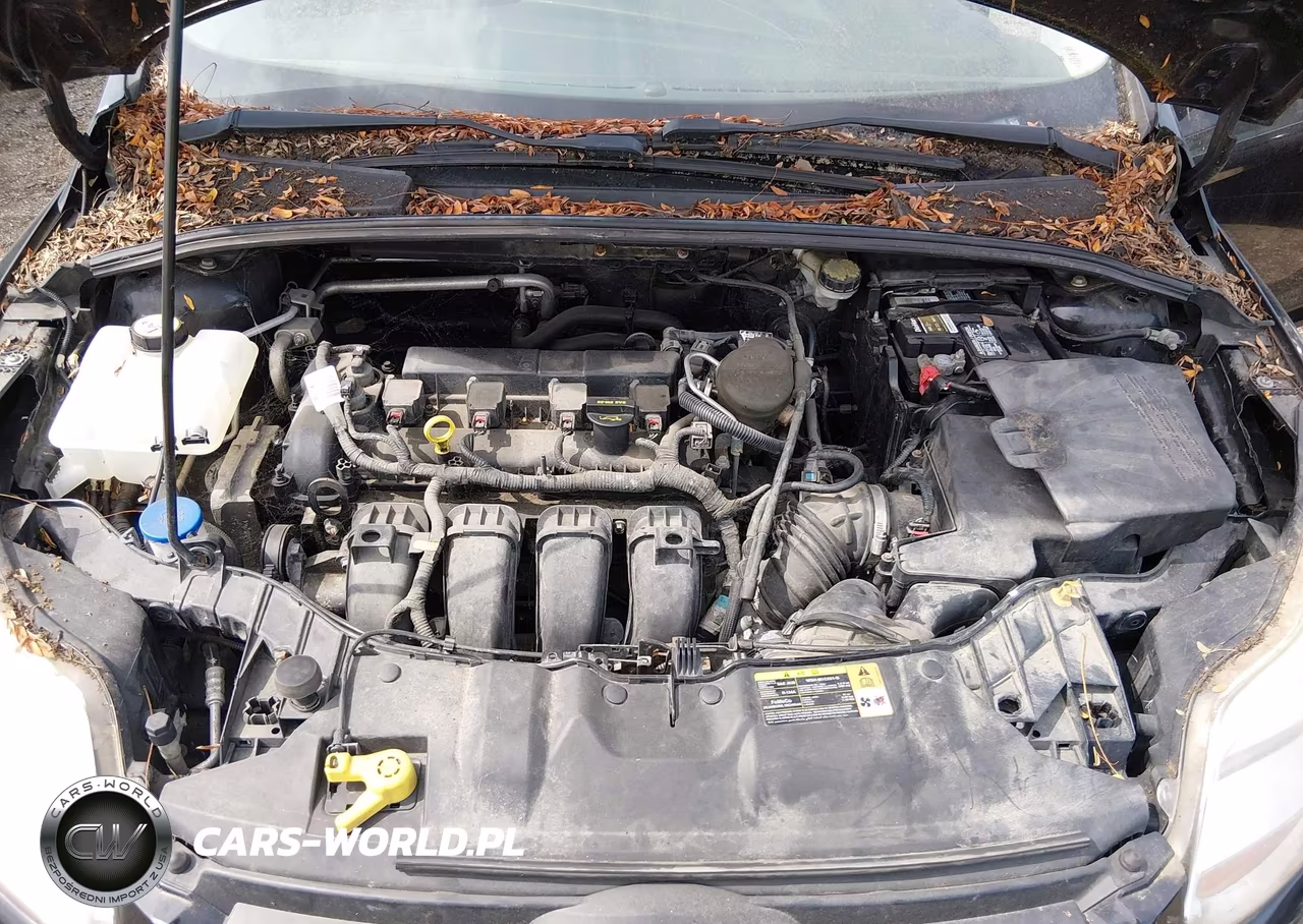 2013 Ford Focus Se VIN:1FADP3K23DL350536 - 10