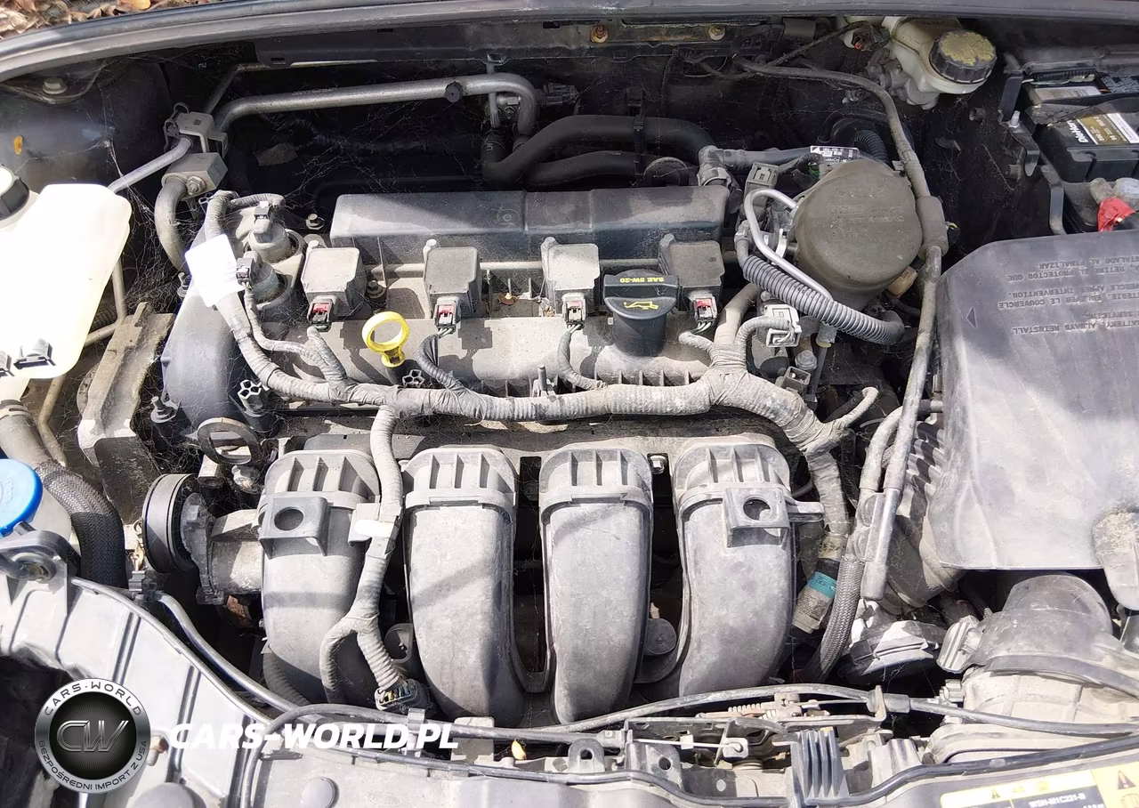 2013 Ford Focus Se VIN:1FADP3K23DL350536 - 6