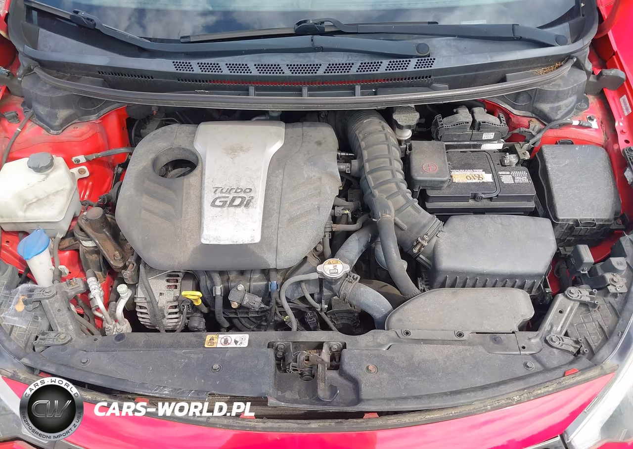 2014 Kia Forte Sx VIN:KNAFZ5A32E5200777 - 10