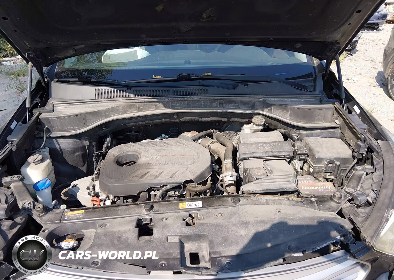 2017 Hyundai Santa Fe Sport 2.0T Ultimate VIN:5XYZW4LA0HG435849 - 10