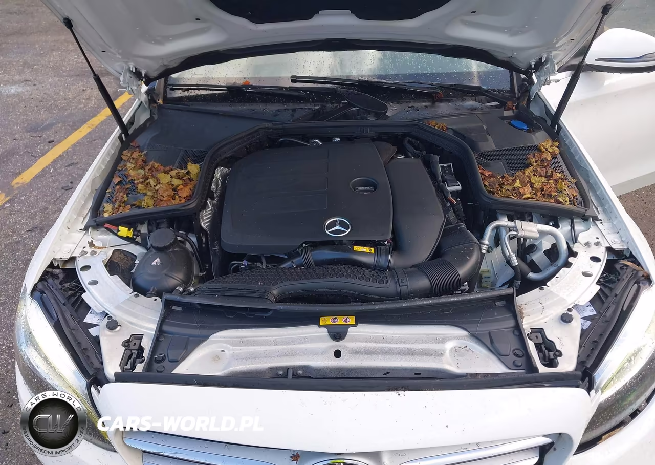 2021 Mercedes-Benz C 300 Sedan VIN:W1KWF8DB5MR649738 - 10