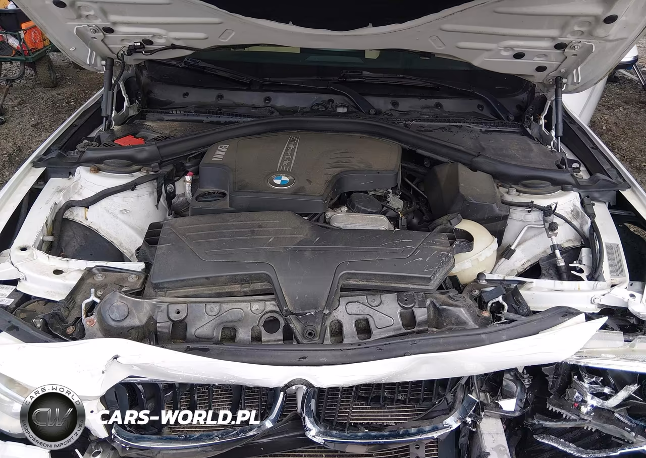 2014 BMW 428I xDrive VIN:WBA3N9C52EF720296 - 10