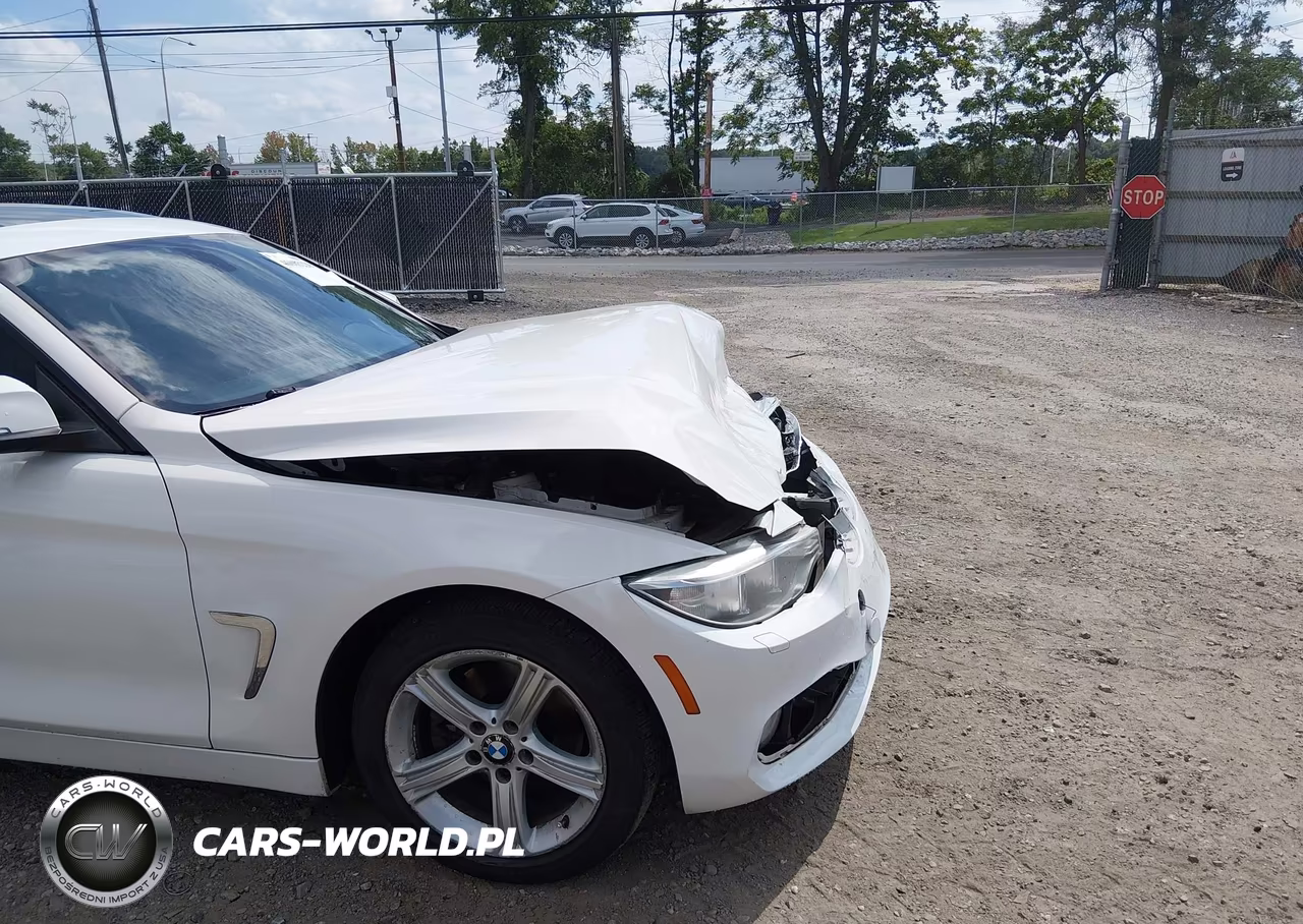 2014 BMW 428I xDrive VIN:WBA3N9C52EF720296 - 18