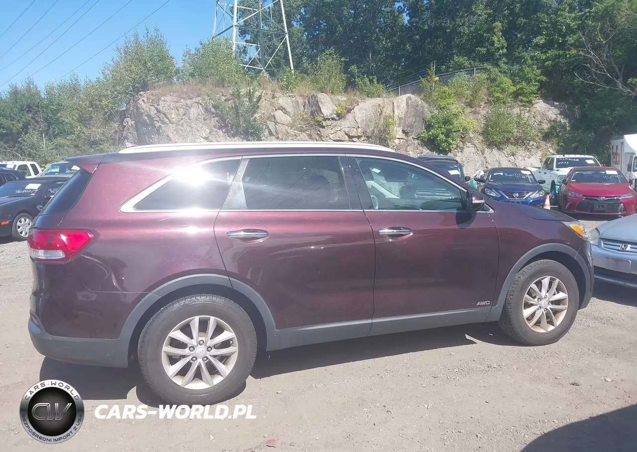 2016 Kia Sorento 2.4L Lx VIN:5XYPGDA32GG072753 - 13