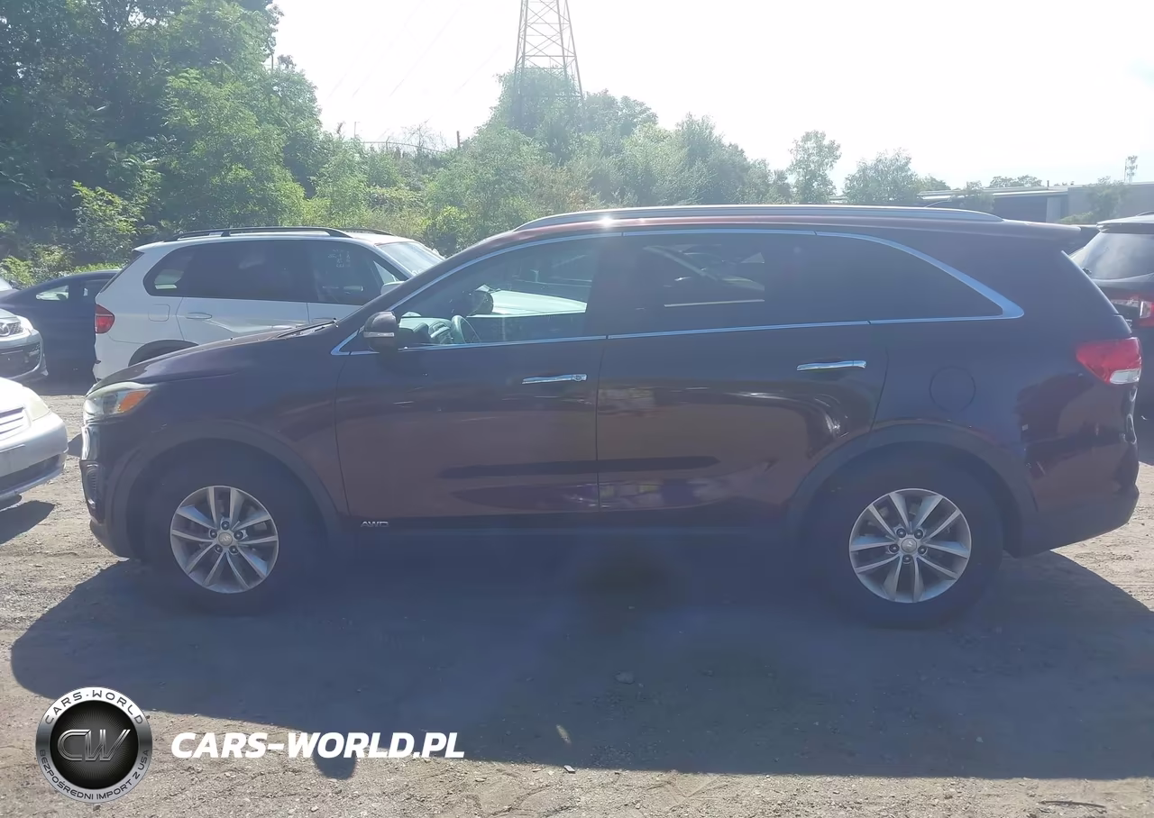 2016 Kia Sorento 2.4L Lx VIN:5XYPGDA32GG072753 - 14