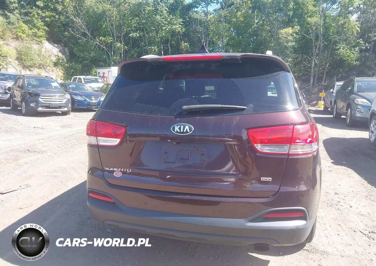 2016 Kia Sorento 2.4L Lx VIN:5XYPGDA32GG072753 - 16