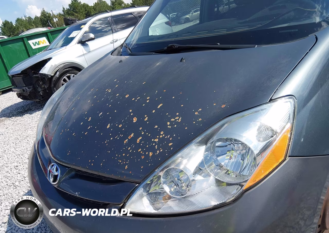 2009 Toyota Sienna Xle VIN:5TDZK22C99S276191 - 6