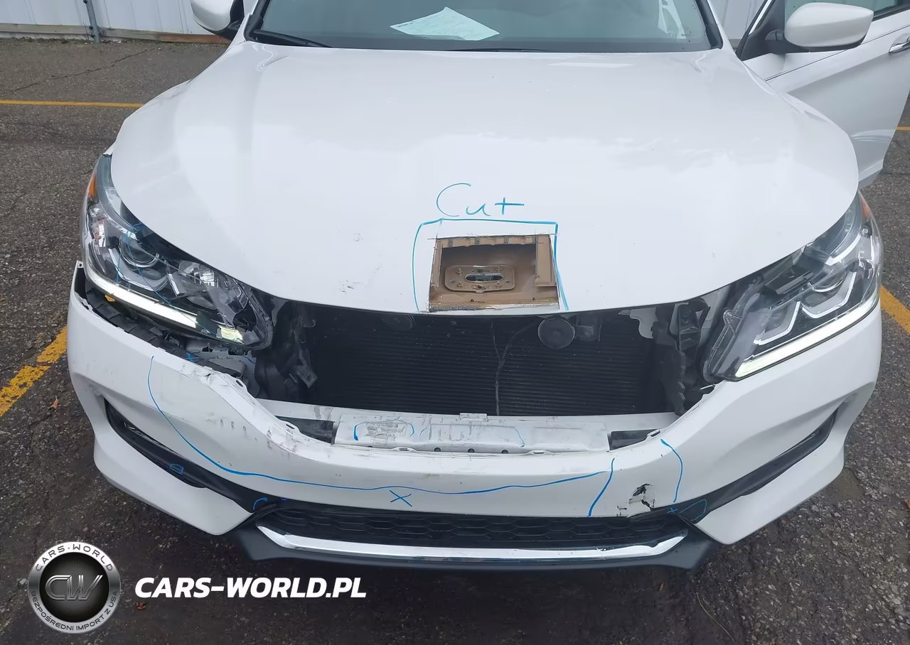 2016 Honda Accord Sport VIN:1HGCR2F50GA231987 - 6