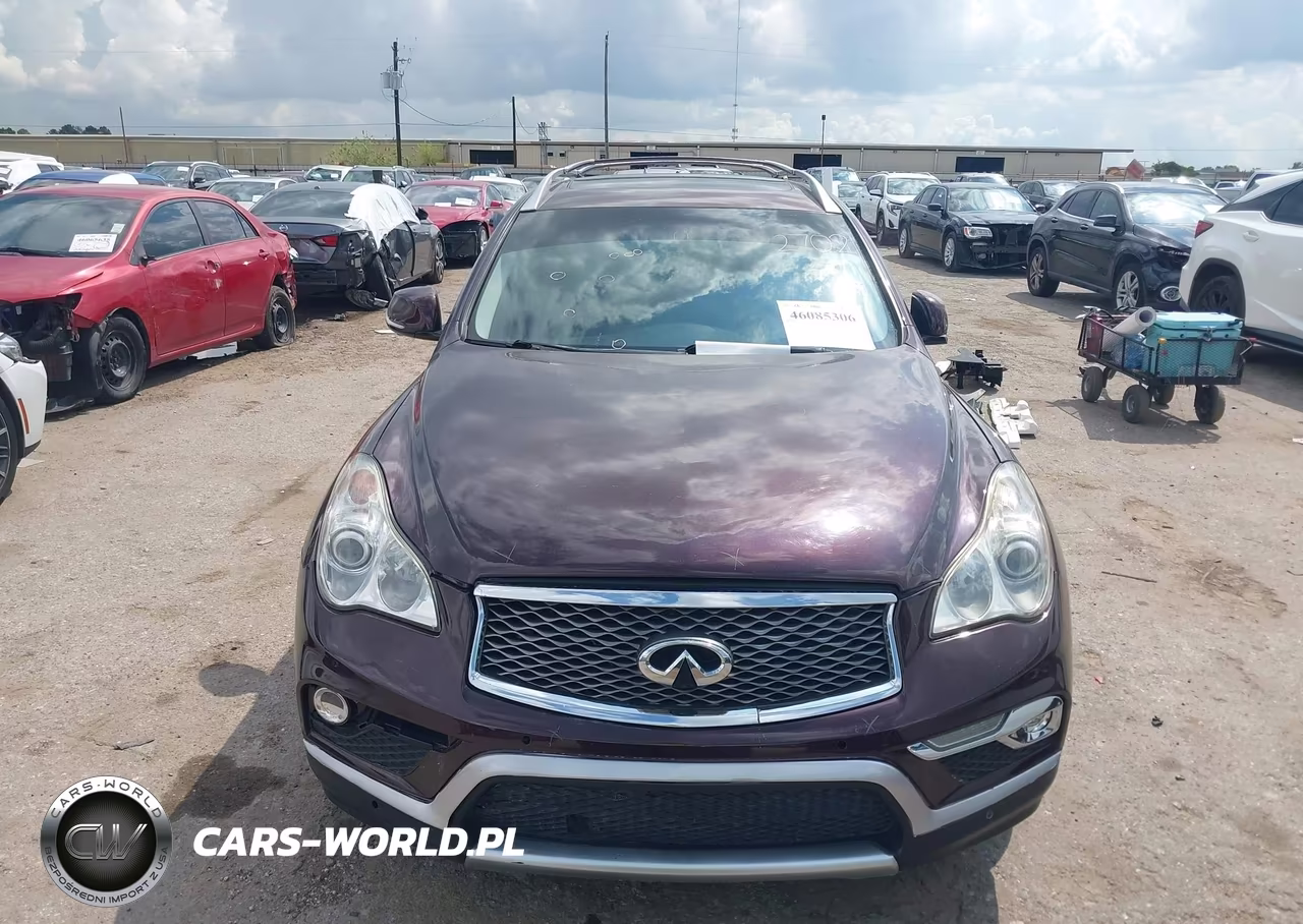 2016 Infiniti Qx50 VIN:JN1BJ0RP2GM231848 - 13