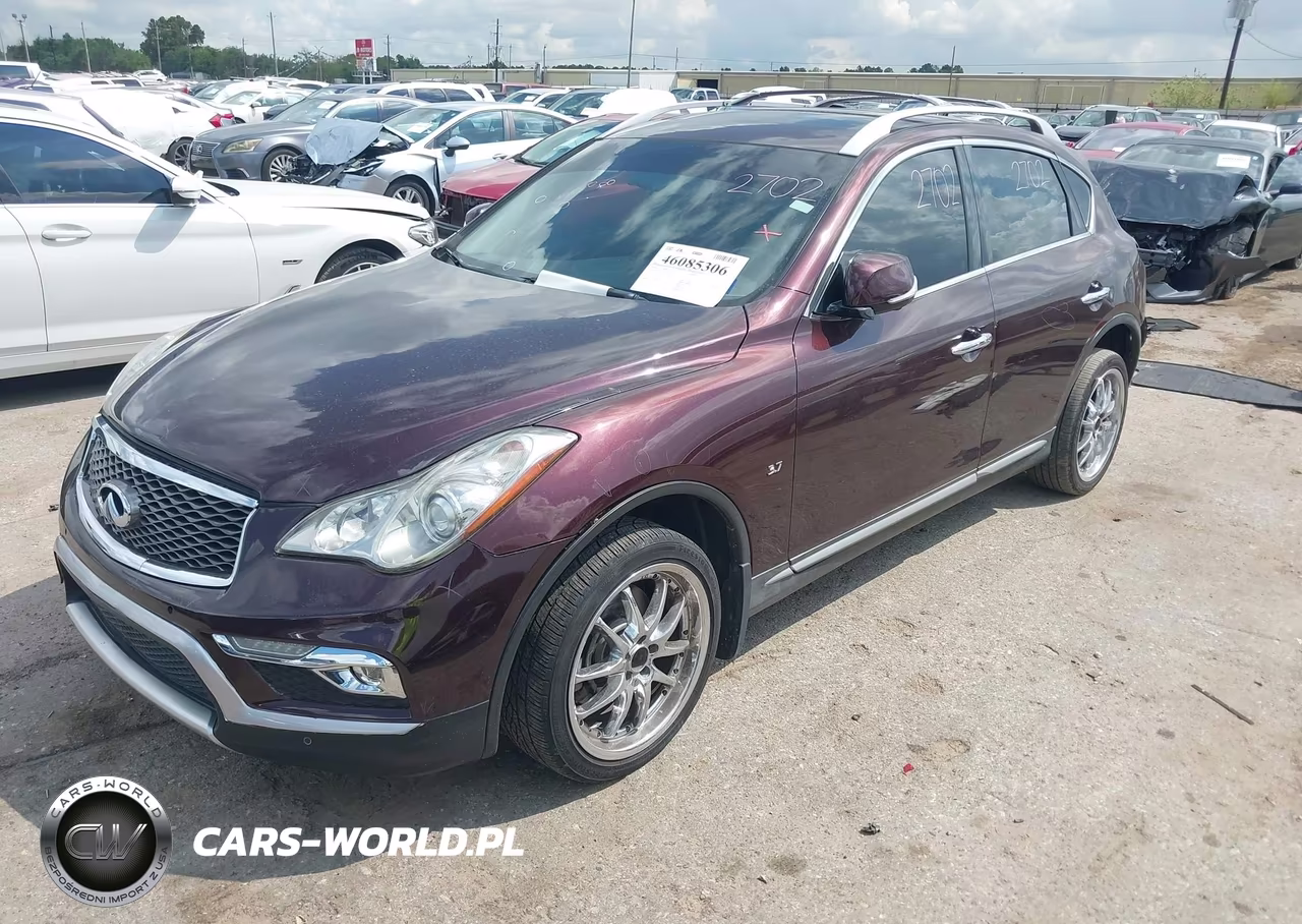 2016 Infiniti Qx50 VIN:JN1BJ0RP2GM231848 - 2