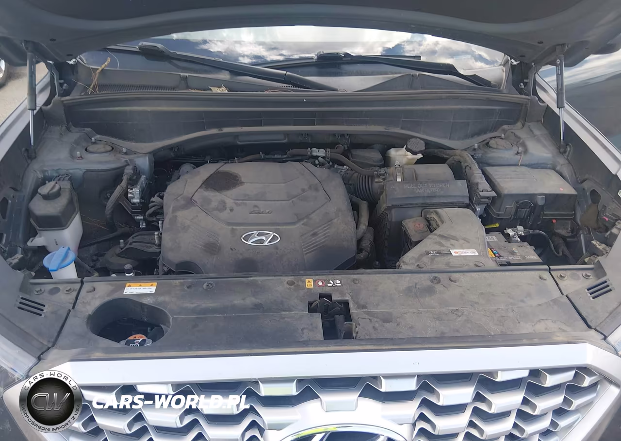 2022 Hyundai Palisade Sel VIN:KM8R44HE9NU448378 - 10