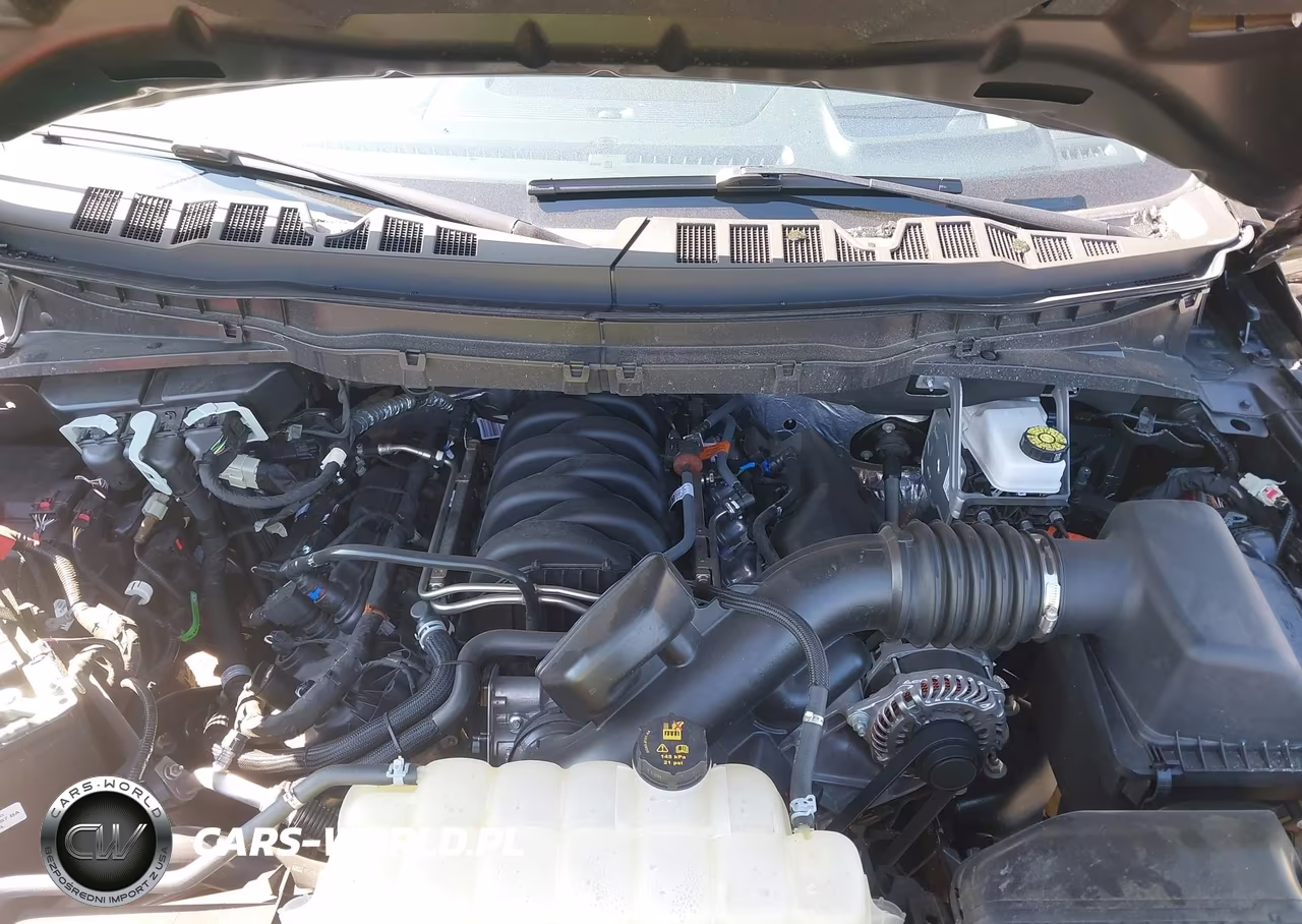 2025 Ford F-150 Tremor VIN:1FTFW4L59SFB97399 - 10