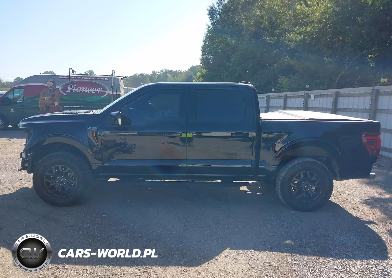 2025 Ford F-150 Tremor VIN:1FTFW4L59SFB97399 - 15