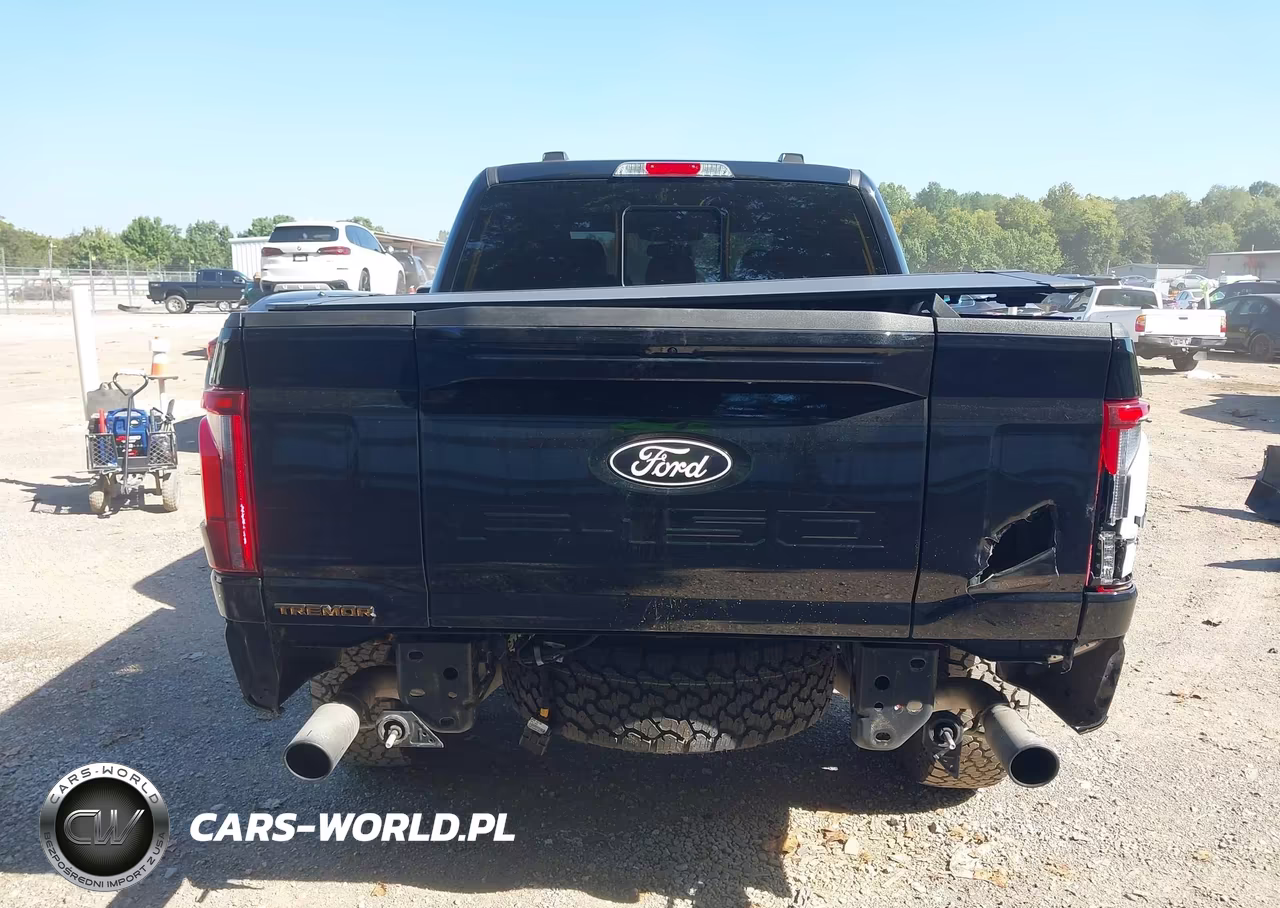 2025 Ford F-150 Tremor VIN:1FTFW4L59SFB97399 - 17