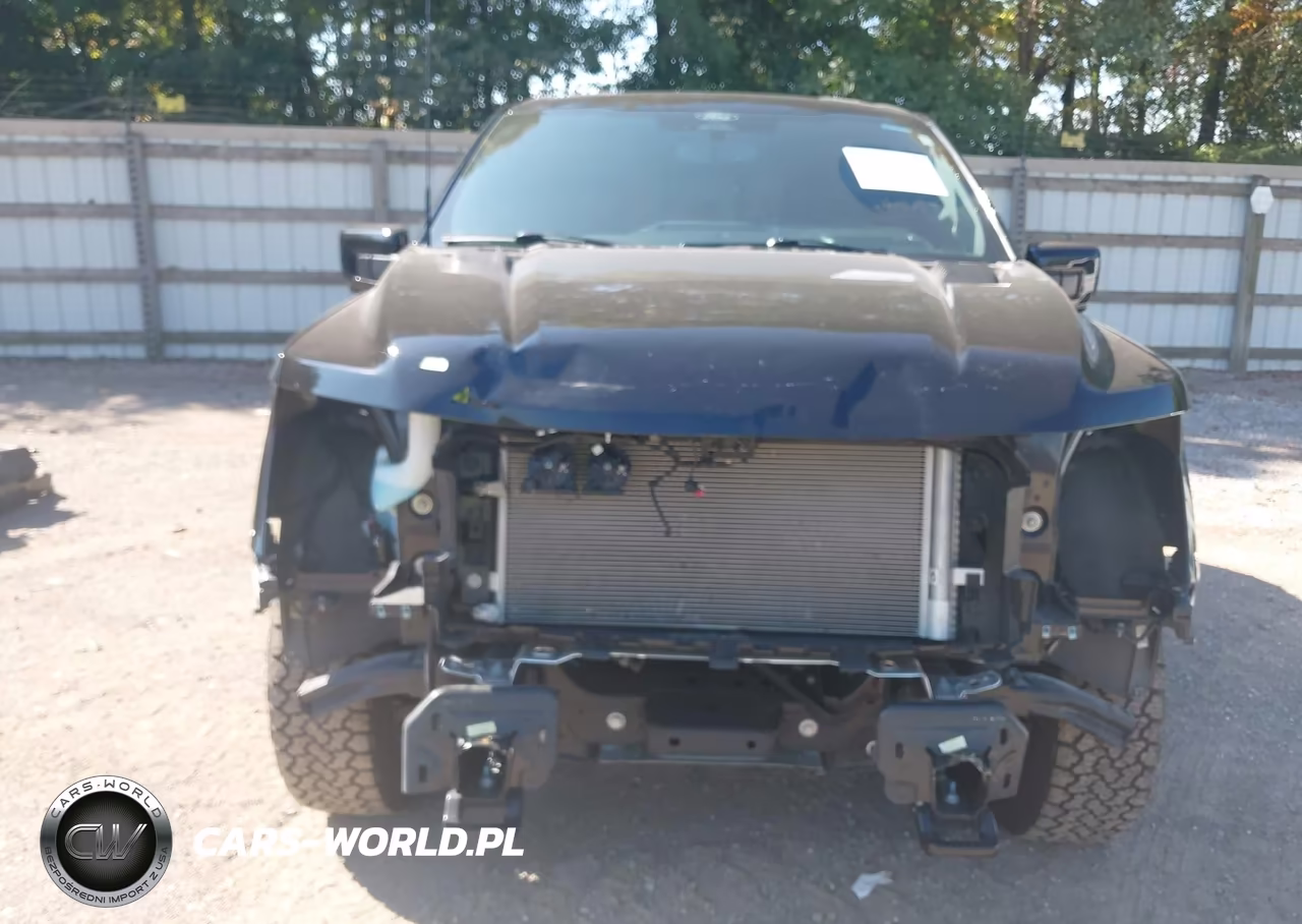 2025 Ford F-150 Tremor VIN:1FTFW4L59SFB97399 - 6