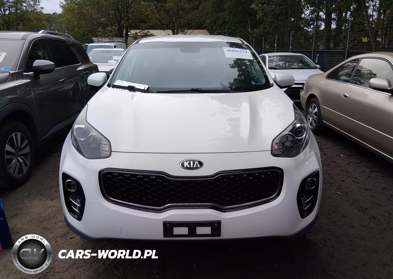 2019 Kia Sportage Lx VIN:KNDPMCAC7K7568981 - 12